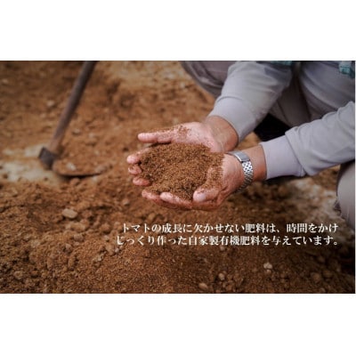 喜界島トマトを丸ごと使った EVERYDAY DRESSING 1本(ドレッシング)