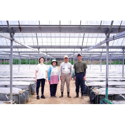 喜界島トマトを丸ごと使った EVERYDAY DRESSING 1本(ドレッシング)