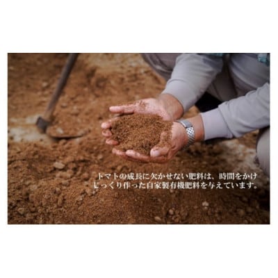 喜界島トマトを丸ごと使った EVERYDAY DRESSING 3本(ドレッシング)