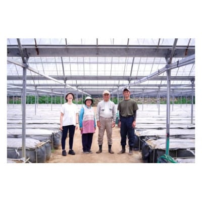 喜界島トマトを丸ごと使った EVERYDAY DRESSING 3本(ドレッシング)