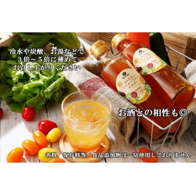 喜界島産 パッションフルーツビネガー(果実酢)2本【宜-よろし-】