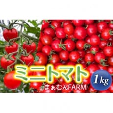 喜界島産ミニトマト　1kg