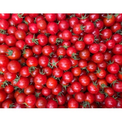 喜界島産ミニトマト　1kg
