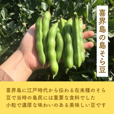 島そら豆しょうゆ 150ml (小麦不使用・喜界島そら豆100%)