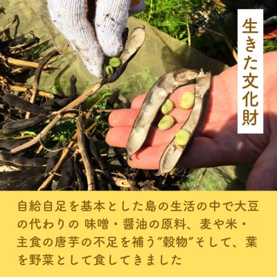 島そら豆しょうゆ 150ml (小麦不使用・喜界島そら豆100%)