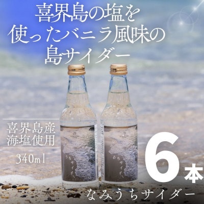【バニラ風味の塩サイダー】喜界島の海辺を感じる爽やかな島サイダー「なみうちサイダー」6本セット