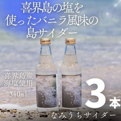 【バニラ風味の塩サイダー】喜界島の海辺を感じる爽やかな島サイダー「なみうちサイダー」3本セット