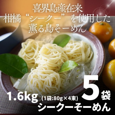 【離島のそーめん】上質で爽やかな柑橘の香り「シークーそーめん」×5セット