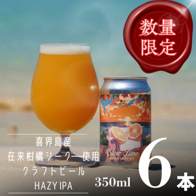 喜界島唯一のクラフトビール「SlowTime」6本セット