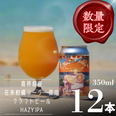 喜界島唯一のクラフトビール「SlowTime」12本セット