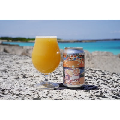 喜界島唯一のクラフトビール「SlowTime」12本セット