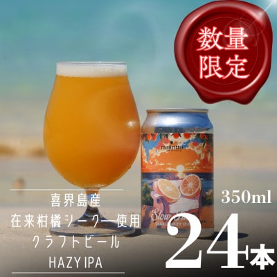 喜界島唯一のクラフトビール「SlowTime」24本セット