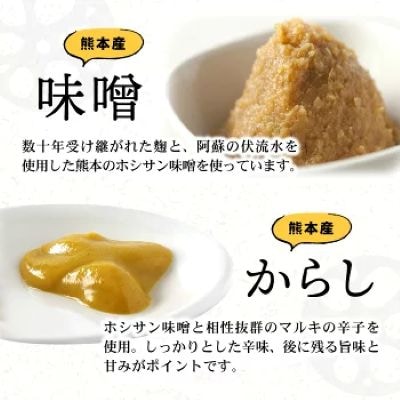 【3代続く伝統の味】ピリッとうまか!熊本からし蓮根(3本～4本)