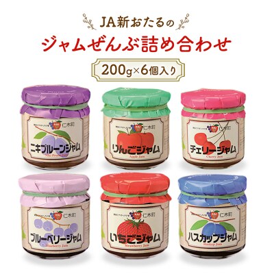 JA新おたるのジャムぜんぶ詰合せ(6個入りギフト)　200g×6個[No.5613-0304]
