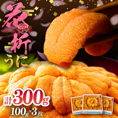 【数量限定】花折うに 豪華100g×3枚セット_H0009-007