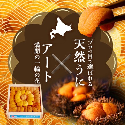 【数量限定】花折うに 豪華100g×3枚セット_H0009-007