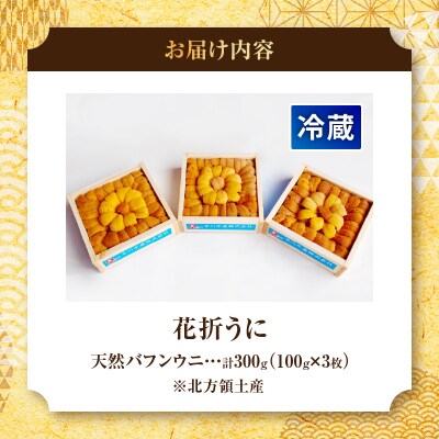 【数量限定】花折うに 豪華100g×3枚セット_H0009-007