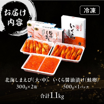 いくら醤油漬け(鮭卵)&北海しまえび(大中サイズ)合計1.1kgセット_H0001-040