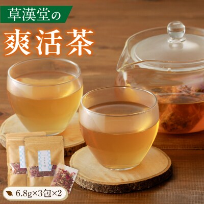 草漢堂の爽活茶[103S06]
