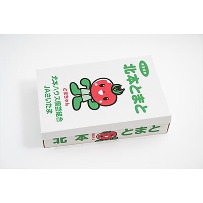 新鮮!採れたて!北本産 トマト・きゅうりセット【合計約4kg 獲れたて 産地直送 旬 野菜】