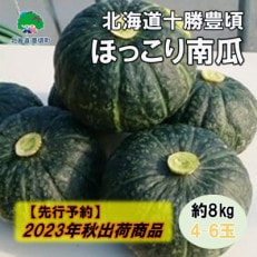 【2023年秋出荷(先行受付)】北海道十勝豊頃ほっこり南瓜 約8kg(4～6玉)58910340