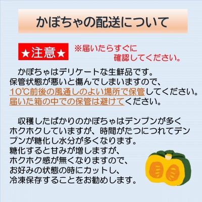 【2023年秋出荷(先行受付)】北海道十勝豊頃ほっこり南瓜 約8kg(4～6玉)58910340