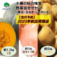 【2023年秋出荷(先行受付)】十勝の秋の味覚 野菜詰め合わせ(南瓜・玉ねぎ・じゃがいも)セット