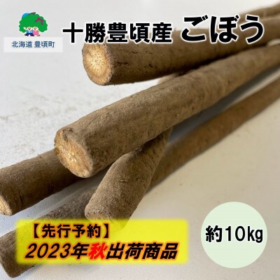 【2023年秋出荷(先行受付)】十勝豊頃産 ごぼう約10kg[No.5891-0460]