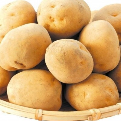 【23年秋出荷(先行受付)】十勝の秋の味覚「ごぼじゃがセット」ごぼう約4kg・じゃがいも約4kg