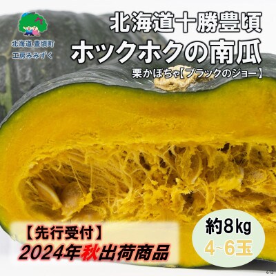 北海道十勝豊頃ホックホク南瓜 約8kg(4～6玉)【2024年秋以降出荷先行受付】58910612