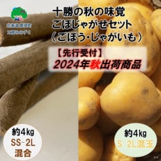 十勝の秋の味覚「ごぼじゃがセット」ごぼう約4kg・じゃがいも約4kg【2024年秋以降出荷先行受付】