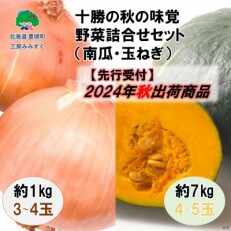 十勝の秋の味覚野菜詰め合わせ(南瓜・玉ねぎ)セット【2024年秋以降出荷先行受付】58910615