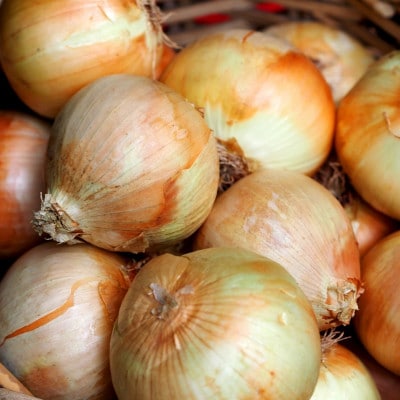 十勝の秋の味覚 野菜詰合せセット(南瓜・玉ねぎ・じゃがいも)【2025年産】(先行受付)