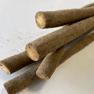 十勝の秋の味覚野菜詰め合わせ(ごぼじゃがセット)【2026年秋出荷】(先行受付)【工房みみずく】