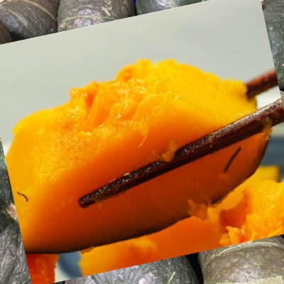 十勝の秋の味覚野菜詰め合わせセット(南瓜・玉ねぎ)【2026年秋出荷】(先行受付)【工房みみずく】