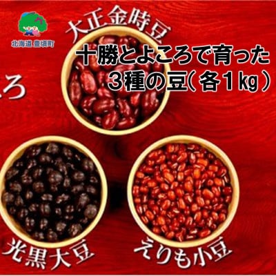 十勝とよころで育った3種の豆×各1kg[No.5891-0183] | 北海道豊頃