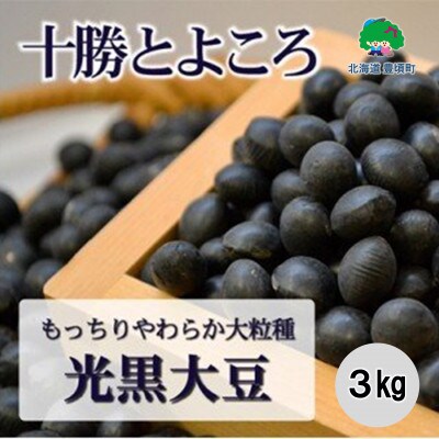 十勝とよころで育った黒大豆3kg[No.5891-0186]