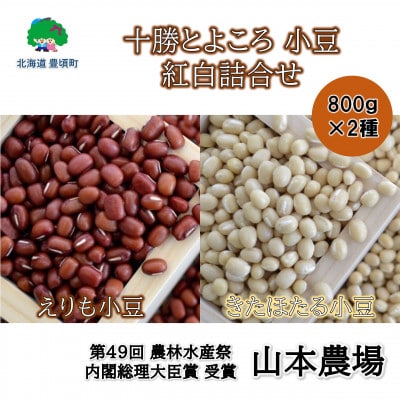 十勝とよころの小豆 紅白詰合せ 800g×2種 [No.5891-0280]