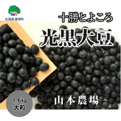 十勝とよころの光黒大豆 祝黒(大粒) 1.6kg [No.5891-0369]