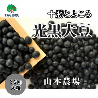 十勝とよころの光黒大豆 祝黒(大粒) 3.2kg [No.5891-0370]