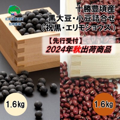 2024年秋以降出荷(先行受付)十勝豊頃産 黒大豆・小豆各1.6kg 詰合せ　58910642