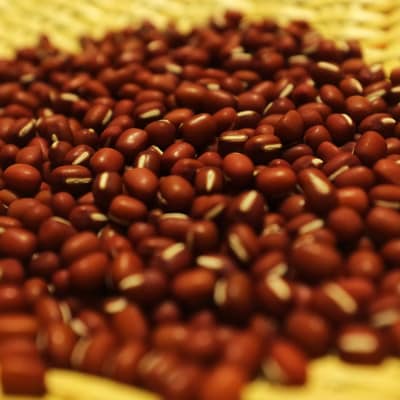 十勝豊頃産 小豆(エリモショウズ)3.2kg【2026年秋出荷】(先行受付)[松崎農場]