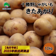 十勝野じゃがいも きたあかり10kg【2023年秋出荷】[No.5891-0546]