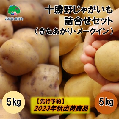十勝野じゃがいも詰合せセット10kg(きたあかり・メークイン)【2023年秋出荷】58910547
