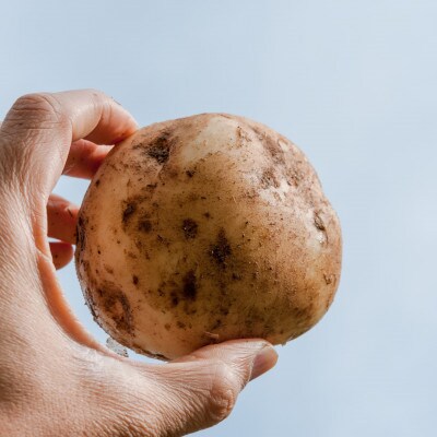 十勝野じゃがいも詰合せセット10kg(きたあかり・メークイン)【2023年秋出荷】58910547
