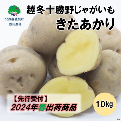 越冬十勝野じゃがいも きたあかり10kg【2024年春出荷】[No.5891-0594]