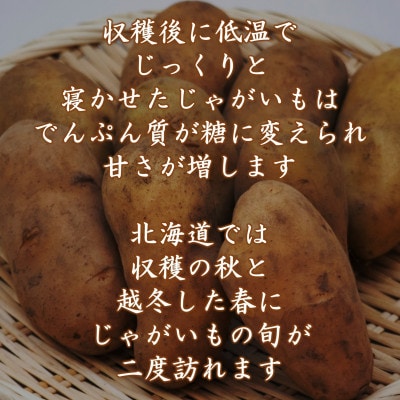 越冬十勝野じゃがいも きたあかり10kg【2024年春出荷】[No.5891-0594]