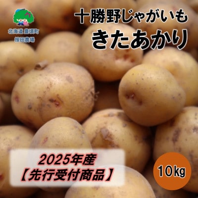 十勝野じゃがいも きたあかり10kg【2025年産】(先行受付)[按田農場]