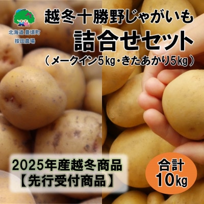 �z�~�\���삶�Ⴊ�����l�����Z�b�g10kg(����������E���[�N�C��)�y2026�N�t�o�ׁz(��s��t)