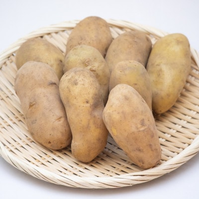 十勝野じゃがいも詰合せセット10kg(きたあかり・メークイン)【2026年秋出荷】(先行受付)